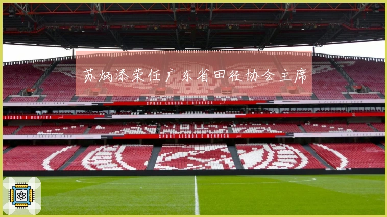 苏炳添荣任广东省田径协会主席