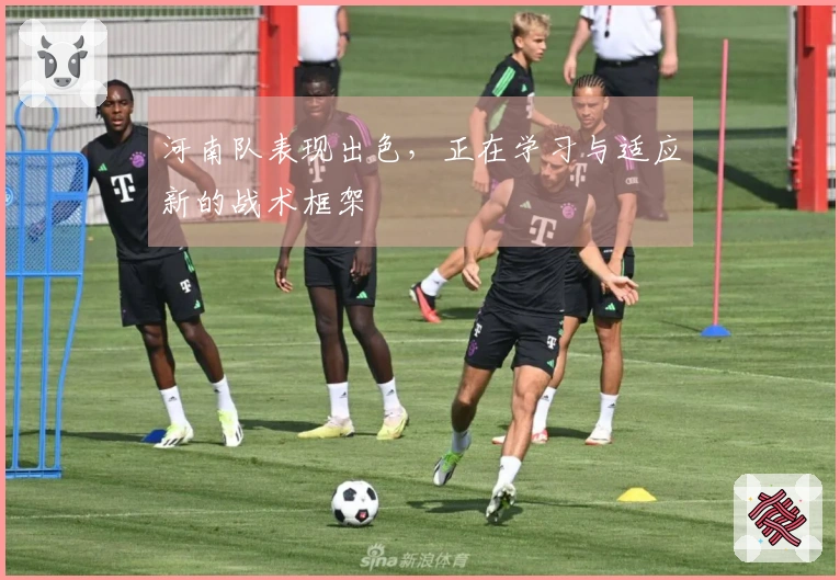 河南队表现出色，正在学习与适应新的战术框架