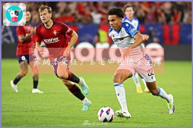 苏炳添荣任广东省田径协会主席