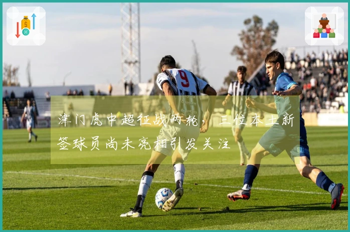 津门虎中超征战两轮，三位本土新签球员尚未亮相引发关注
